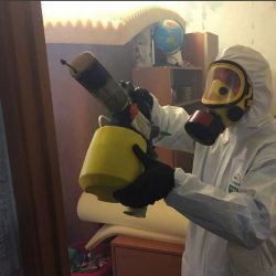 Уничтожение клопов в квартире. Рязанский район